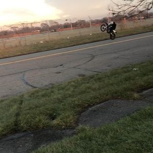 Meet your Posher, Otto